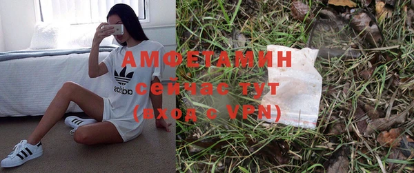 ГАЛЛЮЦИНОГЕННЫЕ ГРИБЫ Балахна