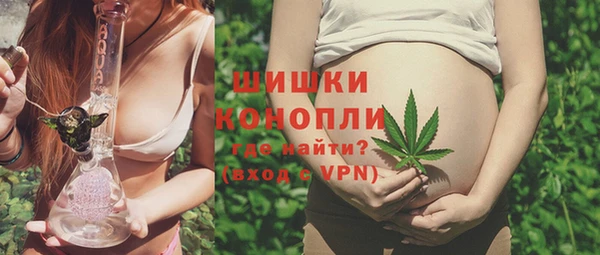 ГАЛЛЮЦИНОГЕННЫЕ ГРИБЫ Балахна