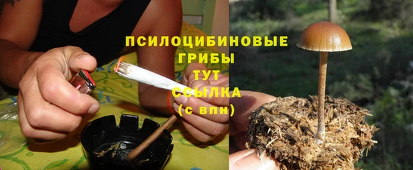 ГАЛЛЮЦИНОГЕННЫЕ ГРИБЫ Балахна