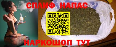 сатива Будённовск