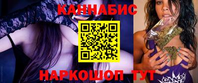 сатива Будённовск