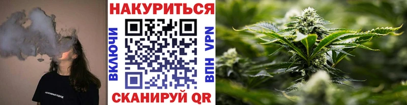 Канабис планчик  Горячий Ключ 